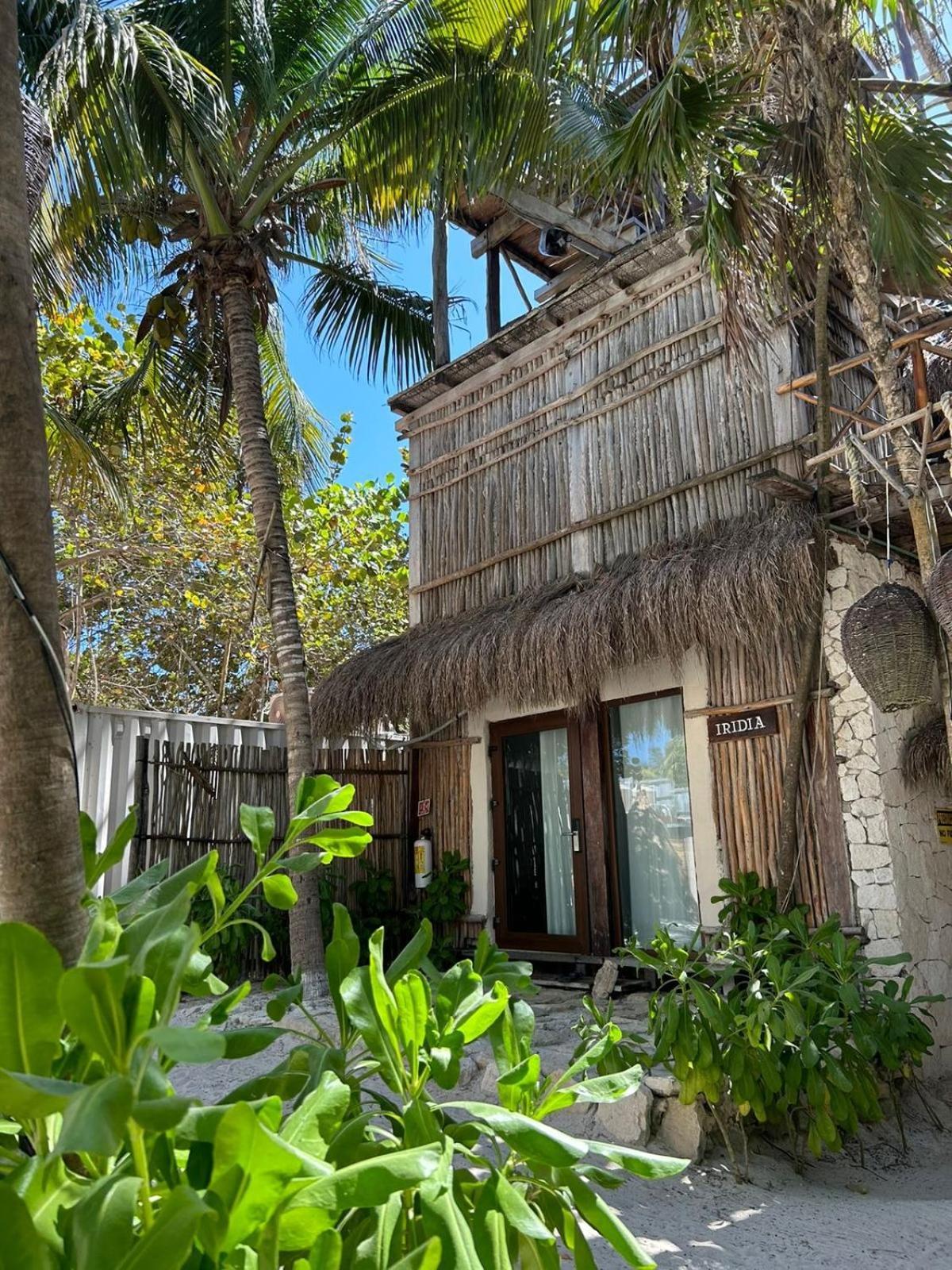 Alquimia Hotel Boutique Tulum Ngoại thất bức ảnh